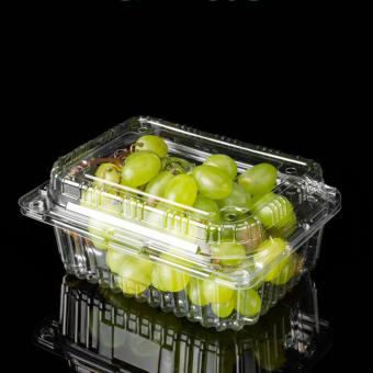 Disposable Small Plastic 125G Fruit Clamshell Packaging Container For  Blueberries Manufacturers