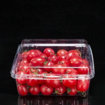 Disposable 500g PET Strawberry Plastic Container Fruits Packaging Clamshell  With Air Holes Manufacturers
