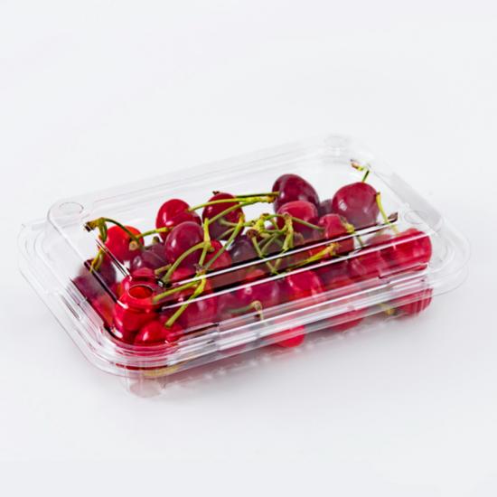 500g Clear Plastic Boxes Wholesale Strawberry Packing Package for Fruits -  China Buy Fruit Plastic Box, Fruit Clamshell Packaging